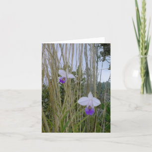 Tarjeta Notecnológicos de orquídeas silvestres, isla grand