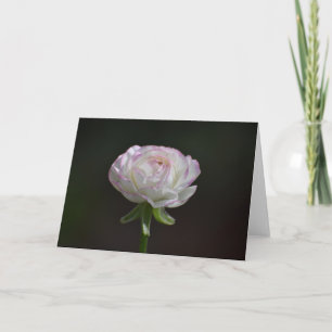 Tarjeta Notecnológicos rosa y rosa blanco (interior en bla
