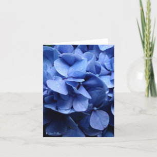 Tarjeta Notelet en blanco/tarjeta de los Hydrangeas azules