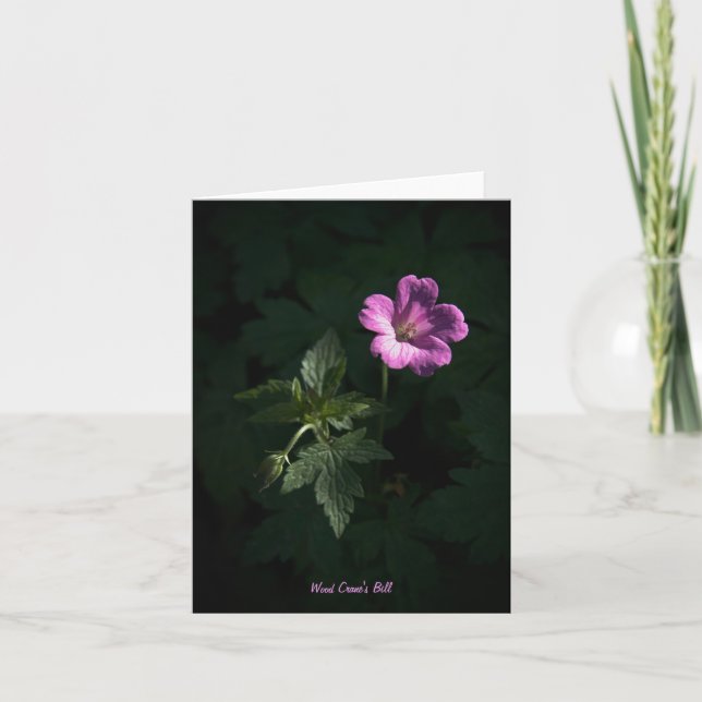 Tarjeta Notelet/tarjeta en blanco de Wood Crane (Anverso)