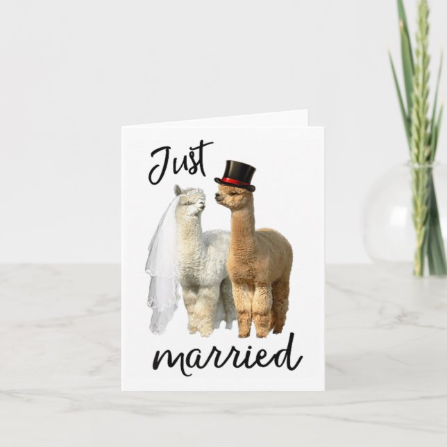 Tarjeta Novia De Camisas De Alpaca Graciosa Y Boda De Groo (Anverso)