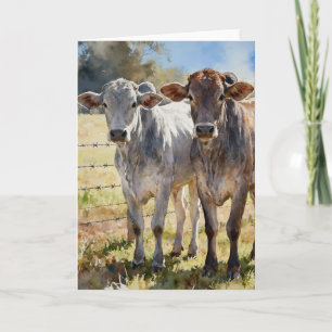 Tarjeta Novillas Brahman en Acuarelas