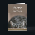 Tarjeta Now that You're Old Birthdays Sneak up Cat Pounce<br><div class="desc">Birthdays Now that You're Old Birthday's like to sneak up on you.  Funny Over the Hill with cute cat getting ready to pounce</div>