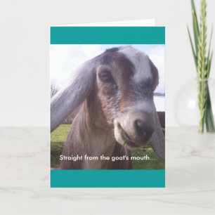 Tarjeta Nubian Goat