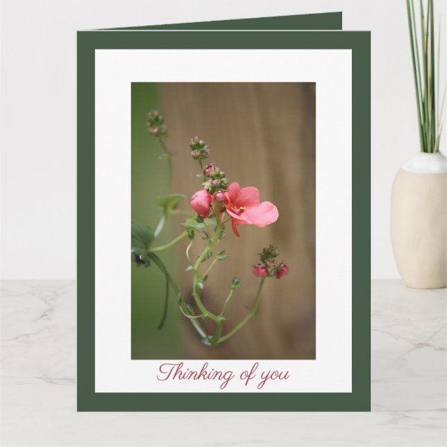 Tarjeta Nuestra más profunda solidaridad (Anverso)