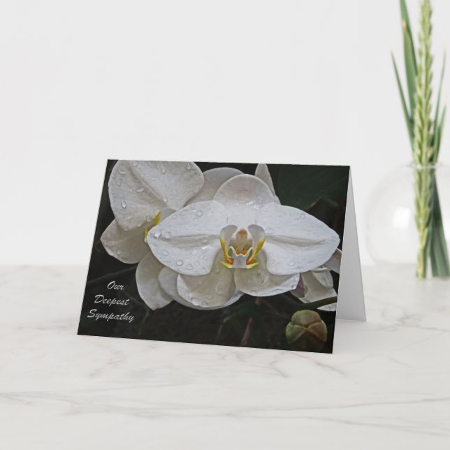 Tarjeta Nuestra más profunda solidaridad (Anverso)