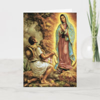 Nuestra Señora de Guadalupe Juan Diego