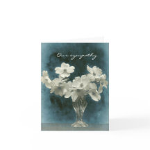 Nuestra simpatía: Flores de dogwood (foto adentro