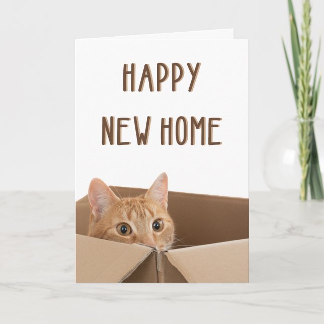 Tarjeta Nueva casa, Divertida casa de gato, Calentando la  (Anverso)