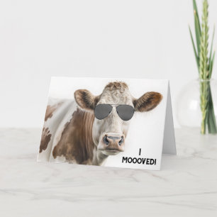 Tarjeta Nueva Casa Hereford Vaca Con Gafas De Sol