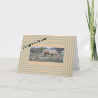 Tarjeta Nueva llegada