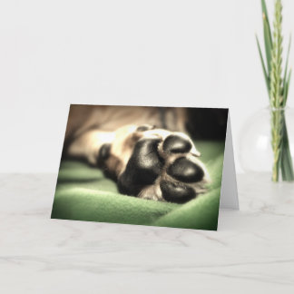 Tarjeta Nueva llegada