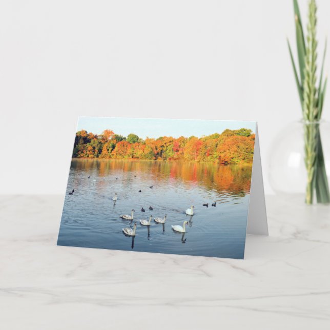 Tarjeta Nueve cisnes (Anverso)