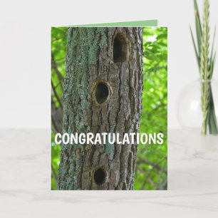 Tarjeta Nuevo Árbol de Apartamento I