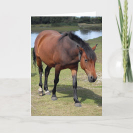 Tarjeta Nuevo bosque Pony Blank