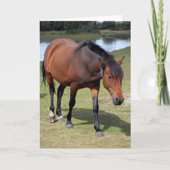 Tarjeta Nuevo bosque Pony Blank (Anverso)