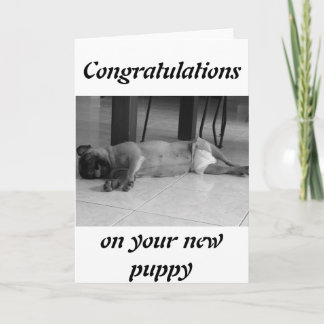 Tarjeta Nuevo cachorro