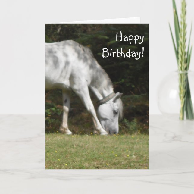 Tarjeta Nuevo cumpleaños de Pony Forestal (Anverso)