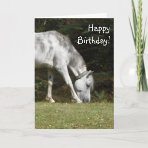 Tarjeta Nuevo cumpleaños de Pony Forestal