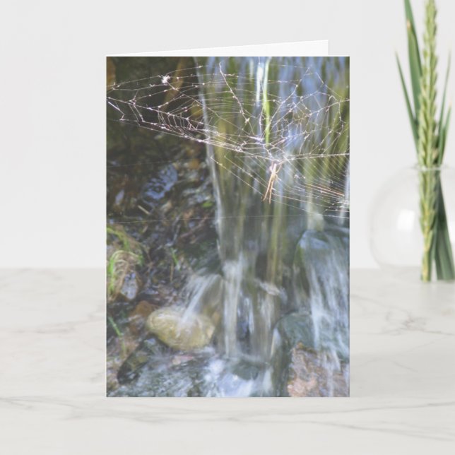 Tarjeta Nuevo hogar (Anverso)