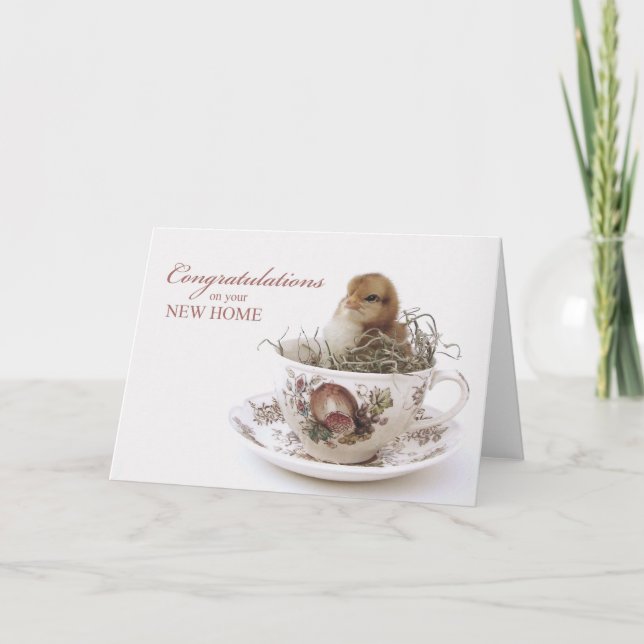 Tarjeta Nuevo hogar de la enhorabuena, polluelo en taza de (Anverso)