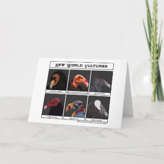 Tarjeta Nuevo mundo viola Ilustracion