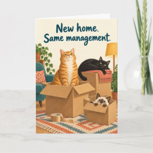 Tarjeta Nuevos Hogares Misma Administración Gatos Divertid