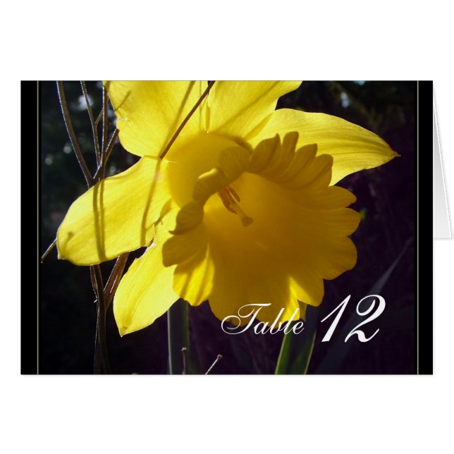 Tarjeta número de mesa de cena de flores de daffod (Anverso (Horizontal))
