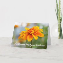 Nunca Olvidaré Tu Amabilidad