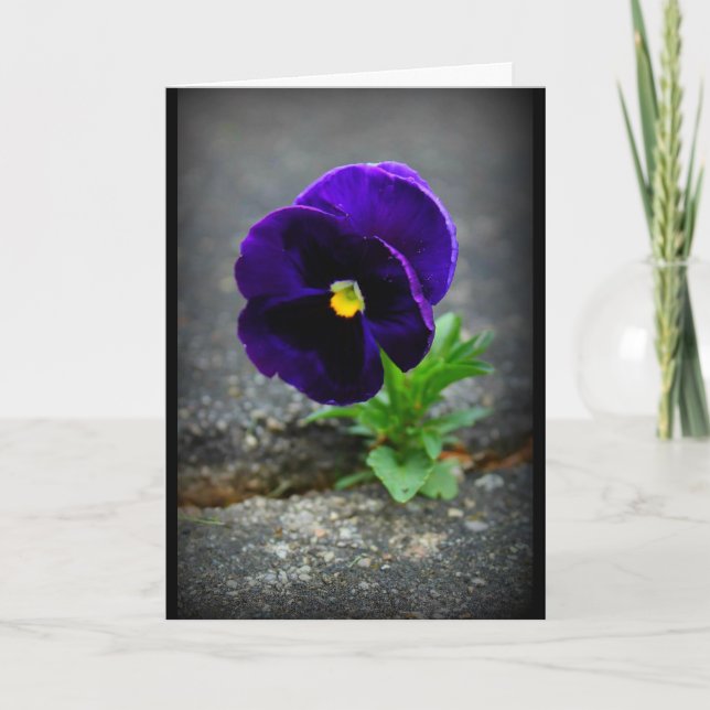 Tarjeta ¡Nunca Se Rindan! (Anverso)