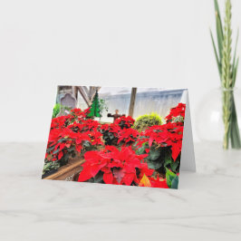 Tarjeta Nursery poinsettias