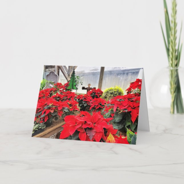 Tarjeta Nursery poinsettias (Anverso)
