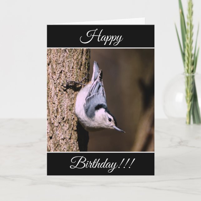 Tarjeta nuthatch de cumpleaños feliz personalizada (Anverso)