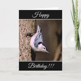 Tarjeta nuthatch de cumpleaños feliz personalizada