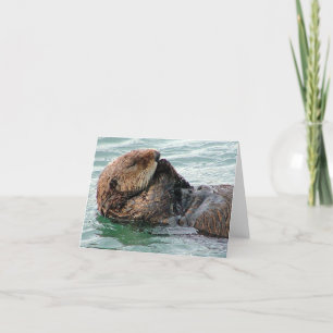 Tarjeta nutria 117c