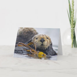 Tarjeta Nutria de mar de California