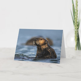 Tarjeta Nutria de mar de California