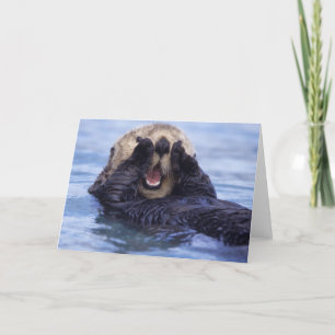 Tarjeta Nutria de mar linda el   Alaska, los E.E.U.U.