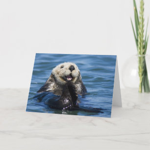 Tarjeta Nutria marina de California Enhydra lutris) se aci