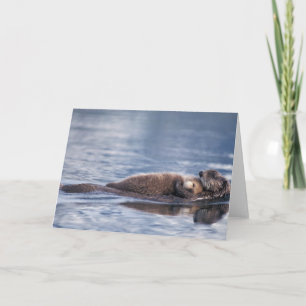 Tarjeta nutria marina, Enhydra lutris lutris