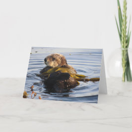 Tarjeta Nutria Marina Envuelta en Kelp