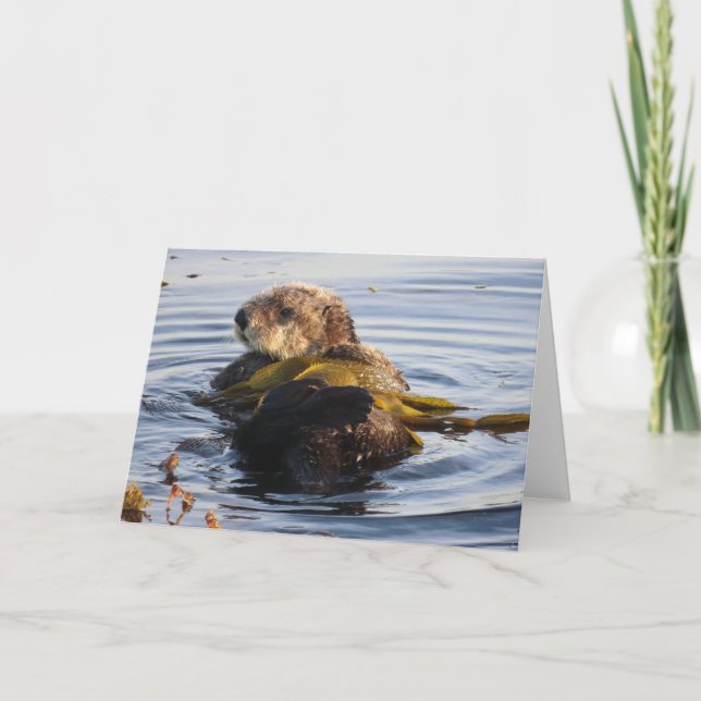 Tarjeta Nutria Marina Envuelta en Kelp (Anverso)