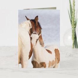 Tarjeta Nuzzle Wilse Horse Greaming Card