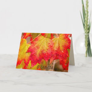 TARJETA O CANADÁ