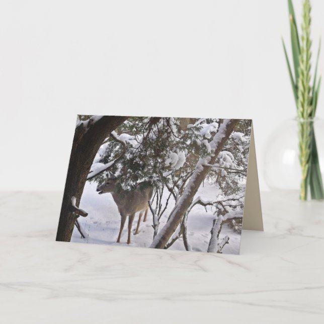 Tarjeta o nota con fotografía de ciervo en el bosq (Anverso)
