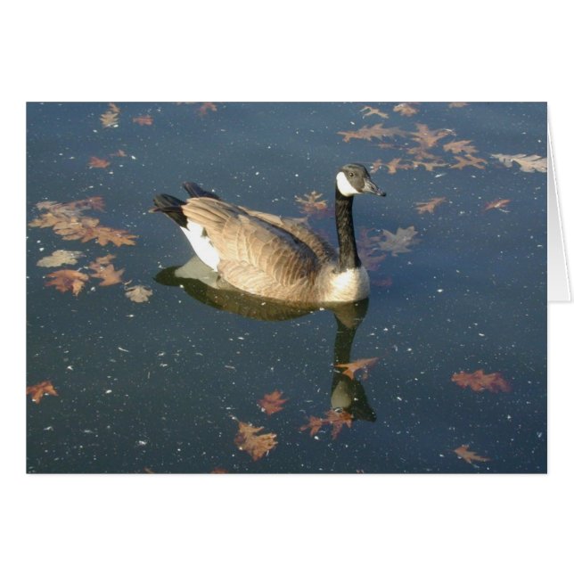 Tarjeta Oak Goose (Anverso (Horizontal))