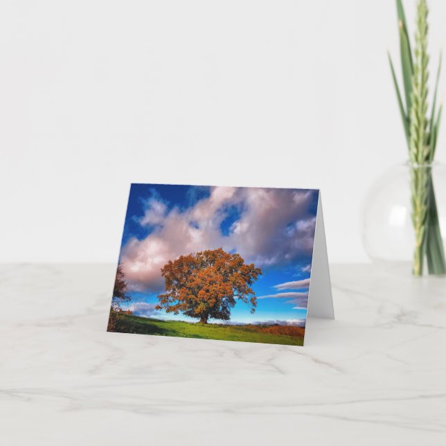 Tarjeta Oak Tree de Otoño en Gales - carta en blanco (Anverso)