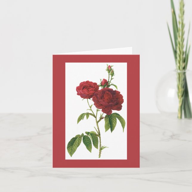 Tarjeta Obispo Rose Notecard de Redoute (Anverso)