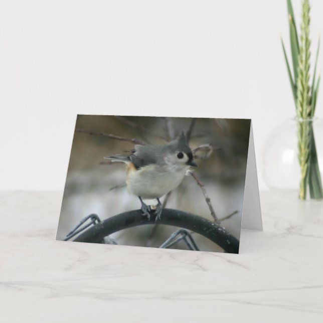 Tarjeta Observación de pájaros (Anverso)