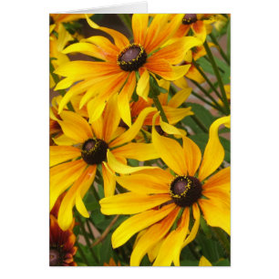 Tarjeta observada negro de Susans